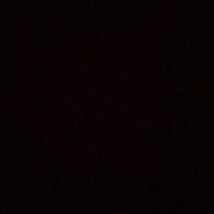 Meet your Posher, Sienna